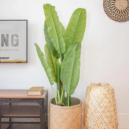 Liiiving In - Flores Design Experience Apartment Porto